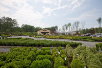 Meadows Farms Nursery