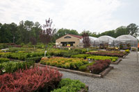 Meadows Farms Nursery