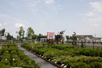 Meadows Farms Nursery